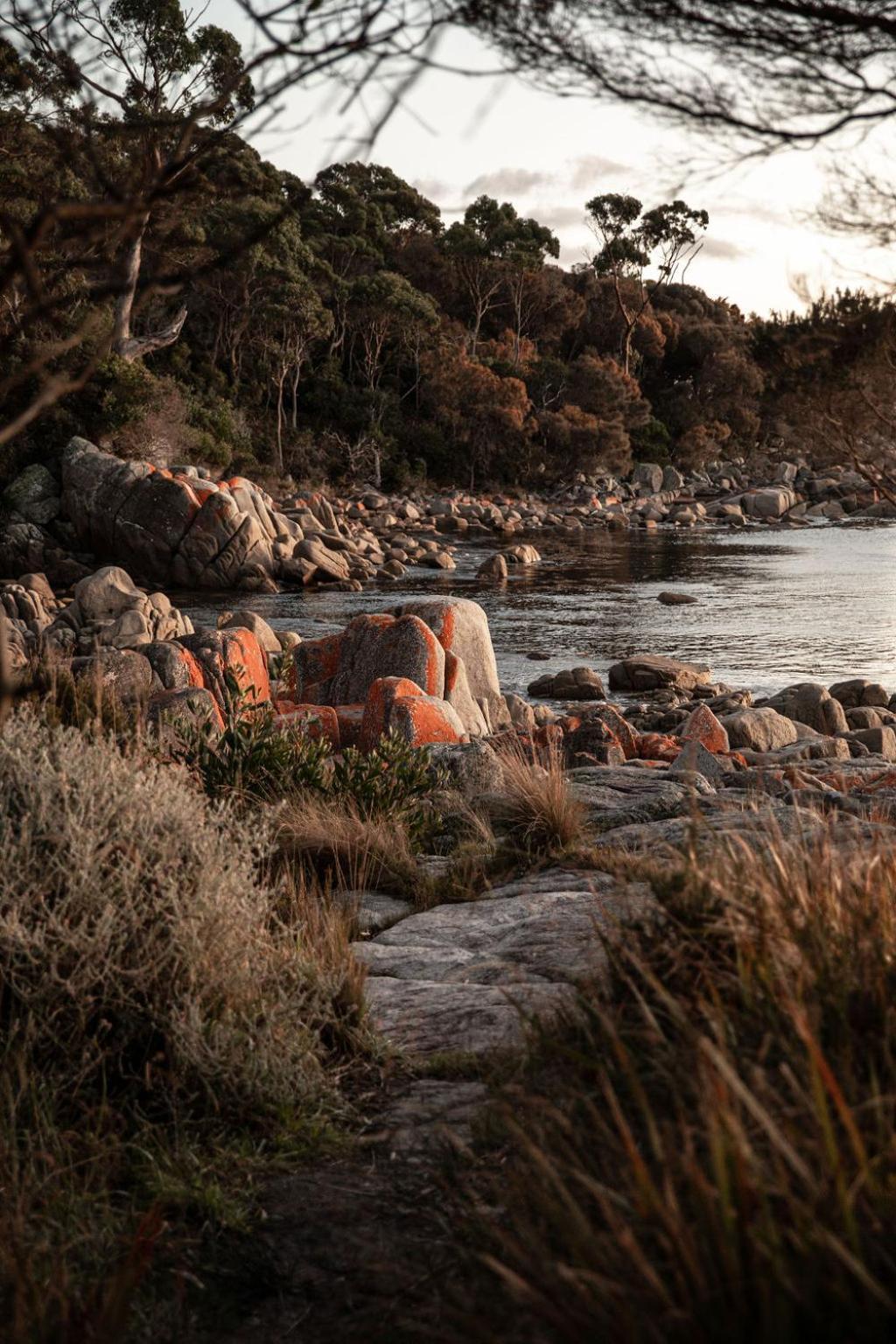 Driftwood Rest Binalong Bay Sleeps 4 Villa Eksteriør billede